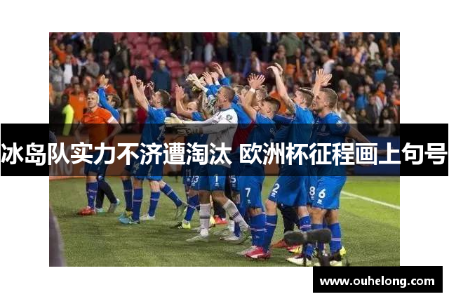 冰岛队实力不济遭淘汰 欧洲杯征程画上句号