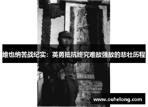 维也纳苦战纪实：英勇抵抗终究难敌强敌的悲壮历程