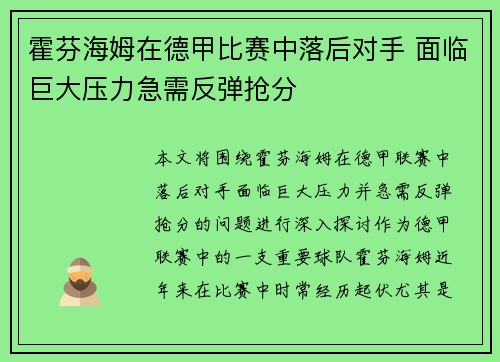 霍芬海姆在德甲比赛中落后对手 面临巨大压力急需反弹抢分